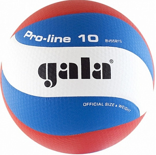 Мяч волейбольный GALA Pro-Line 10 BV5581S р.5 белый-голубой-красный